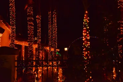 DSC_5794 (Large).JPG